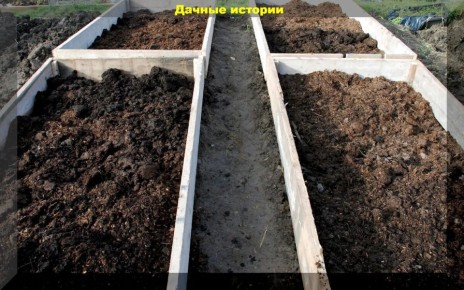 Октябрь: время подготовительных работ для будущего урожая томатов