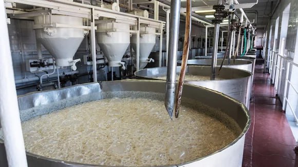 Китайская Angel Yeast намерена вложить в расширение липецкого завода 11,1 млрд