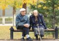 Новые возможности для пожилых граждан в 2025 году