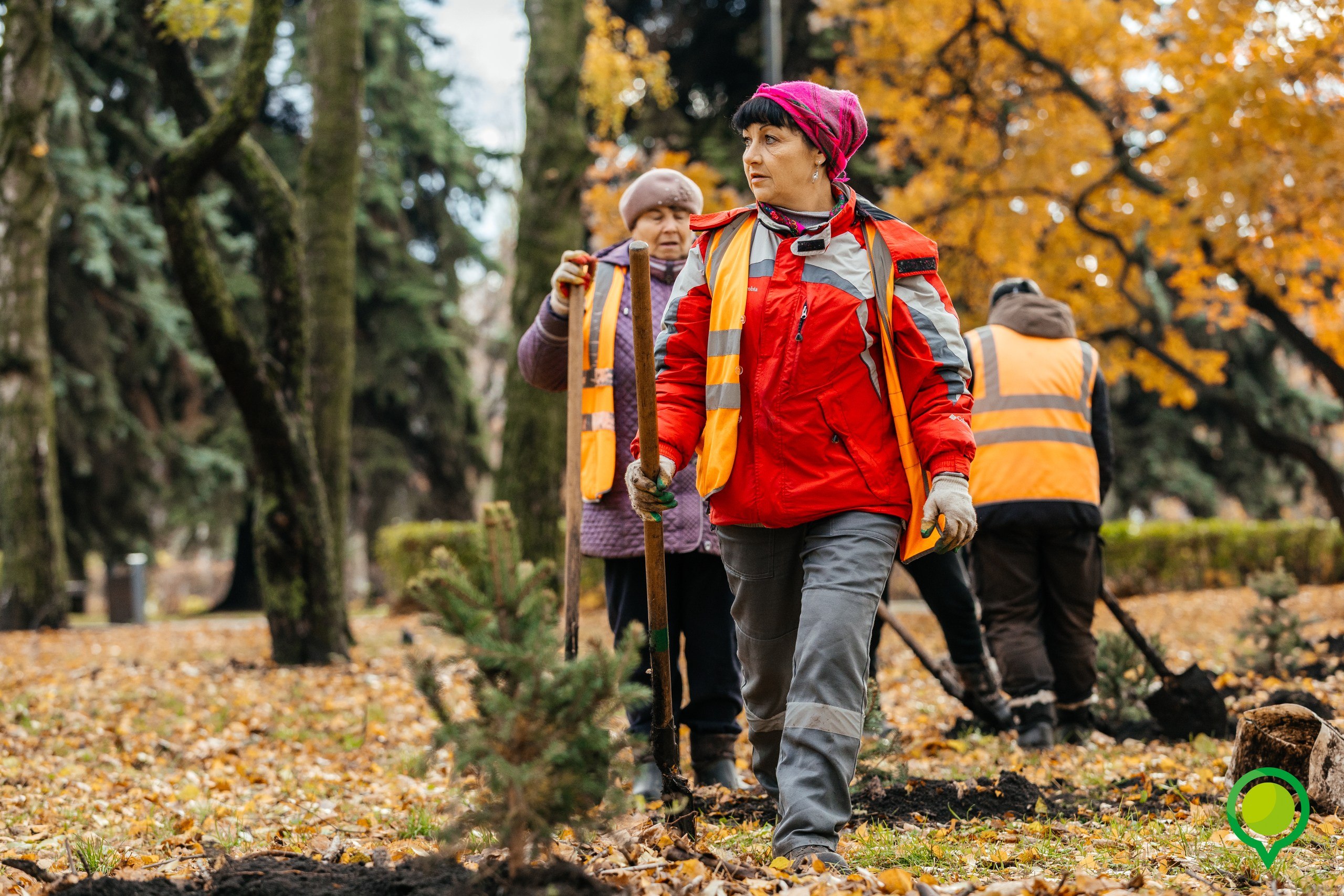 В парке «Быханов сад» прошла высадка голубых елей В парке «Быханов сад» прошла высадка голубых елей
