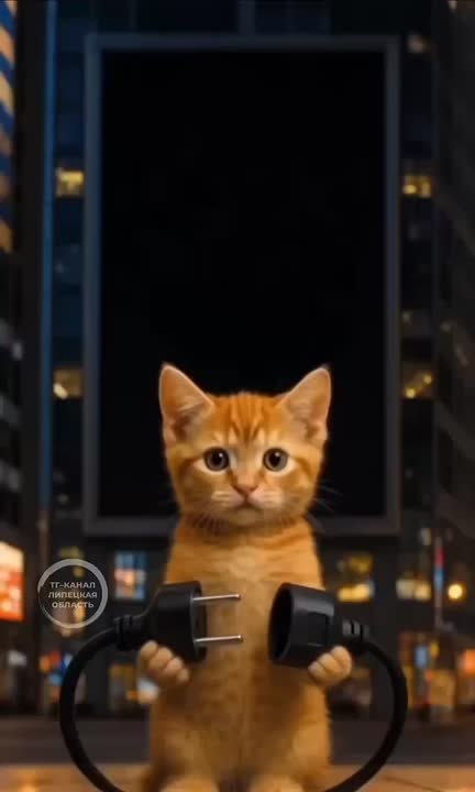 Ночь, которая длится 5 ночей