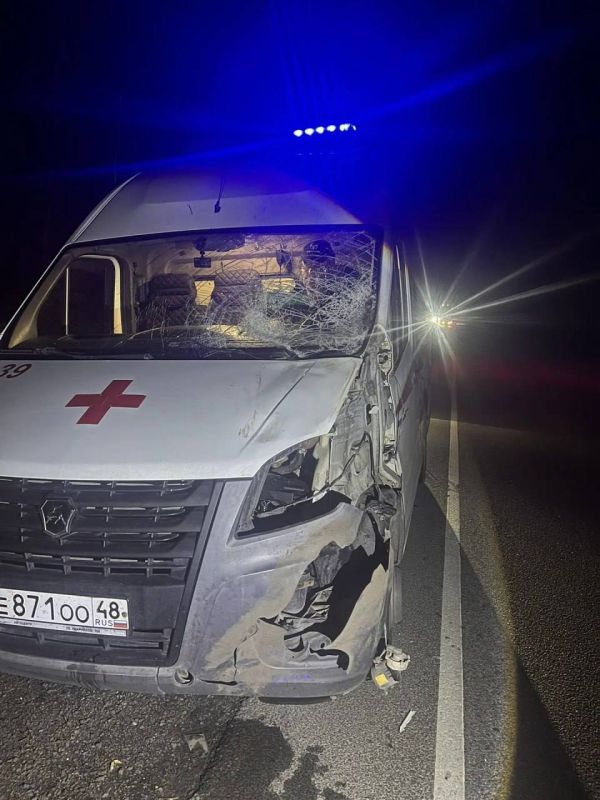 Лось врезался в скорую, которая перевозила шестимесячного малыша