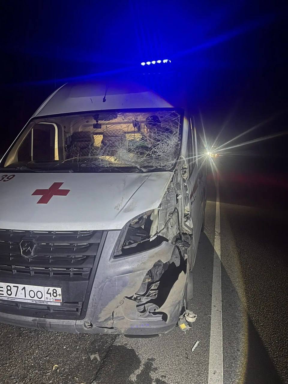 Лось врезался в скорую, которая перевозила шестимесячного малыша