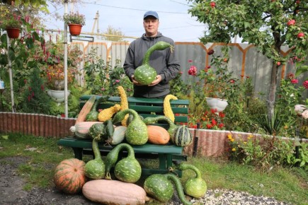 Лебедей из тыквы и кабачков создаёт житель Хлевного