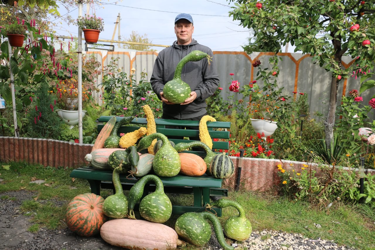 Лебедей из тыквы и кабачков создаёт житель Хлевного
