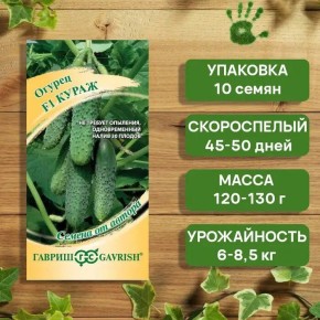 Огурец Кураж F1: идеальный выбор для огородников