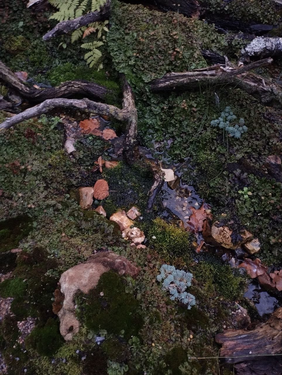 В субботу, 1 ноября, облачно с прояснениями