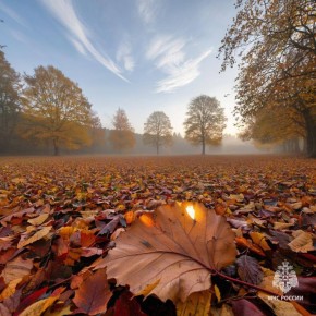 Безопасные выходные: советы от МЧС России