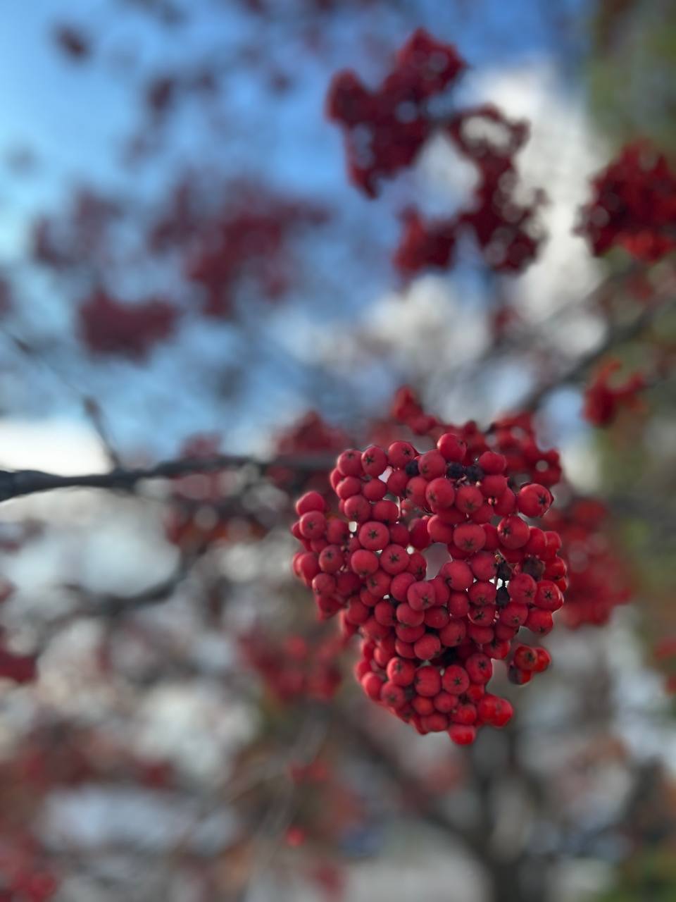 Доброе утро. Сегодня среда – началась короткая рабочая неделя, и настроение у всех явно попроще, чем в обычную среду Погода тоже решила не создавать лишних поводов для волнения: Днём до +8 Ночью около +2 Ветер восточный...