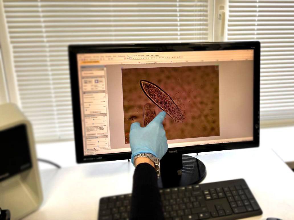 Липецкие школьники познакомились с работой лаборатории РВК-Липецк Липецкие школьники познакомились с работой лаборатории РВК-Липецк