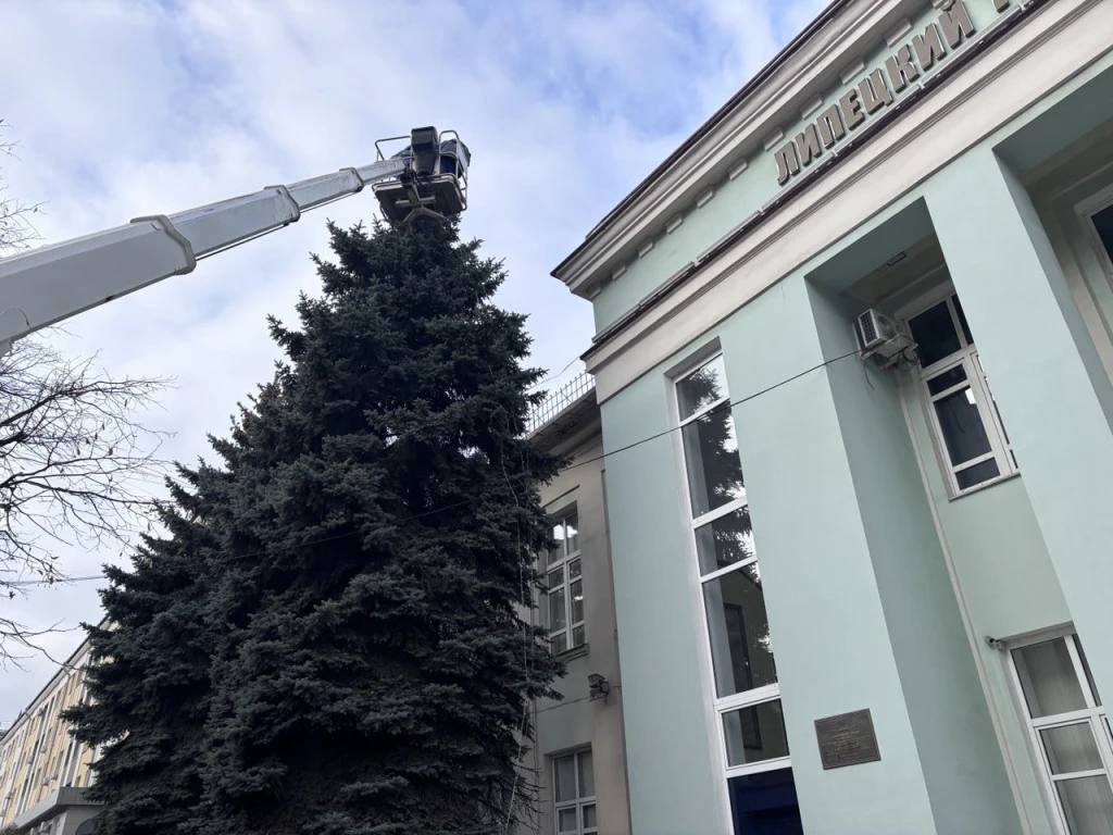 Украшать ёлки начали в центре Липецка Украшать ёлки начали в центре Липецка