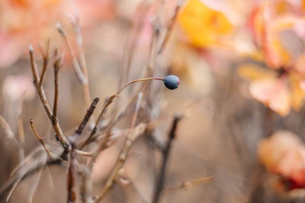 Доброе утро!. Пятница наконец-то здесь – можно официально выдохнуть и начать морально готовиться к выходным