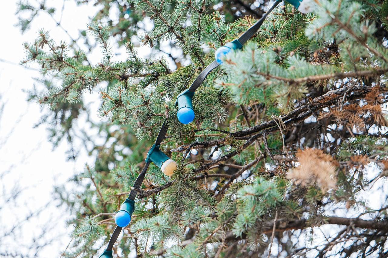 Липецк уже окутывается новогодним волшебством