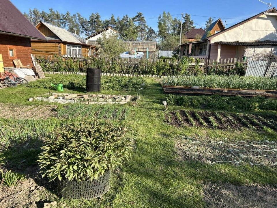 Как сделать опилки более ценными: простые добавления для вашего сада