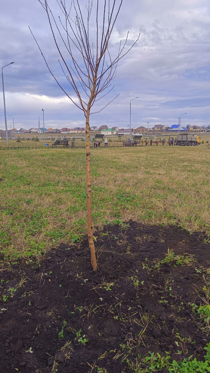 Пять причин приехать в Становое Пять причин приехать в Становое
