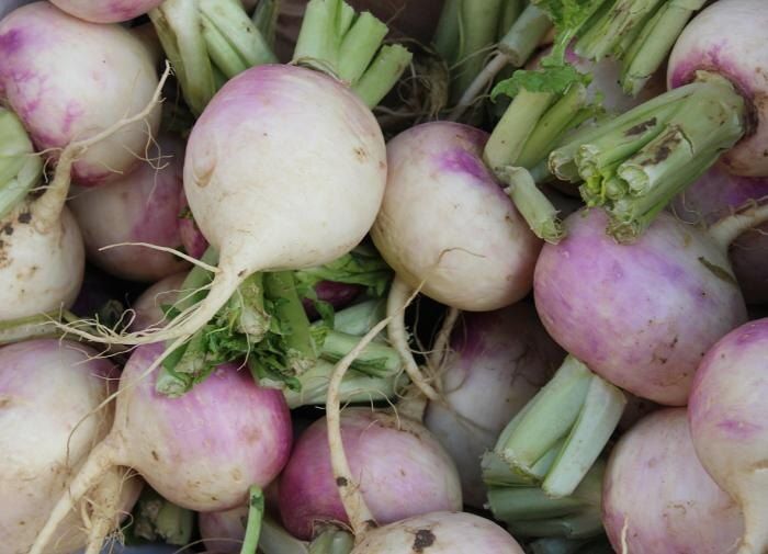 Почему стоит вернуть репу в свой огород