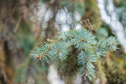 Доброе утро. В эту среду погода сегодня явно решила проявить характер