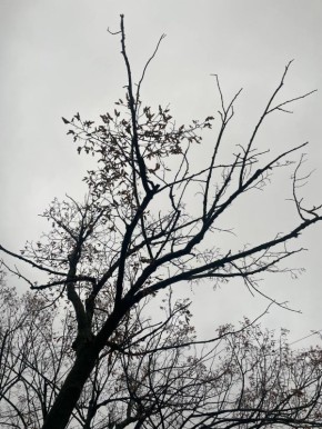 Доброе утро. Днём до +8