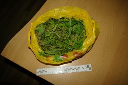 Елецкие транспортные полицейские выявили местного жителя с наркотическим веществом