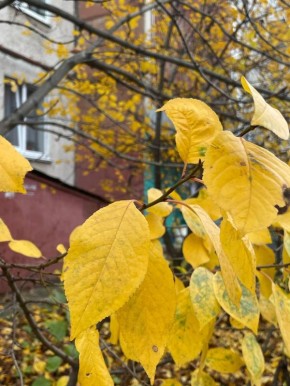 Доброе утро. Понедельник снова с нами и погода решила напомнить, что зима уже совсем рядом