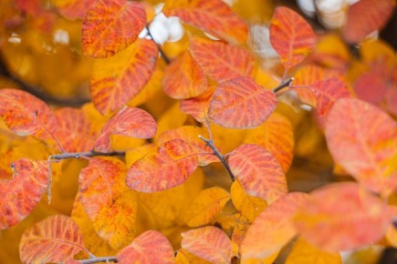 Доброе утро. Вторник сегодня контрастный: днём будет неожиданно тепло, но ветрено, а к ночи вернётся почти зимняя прохлада