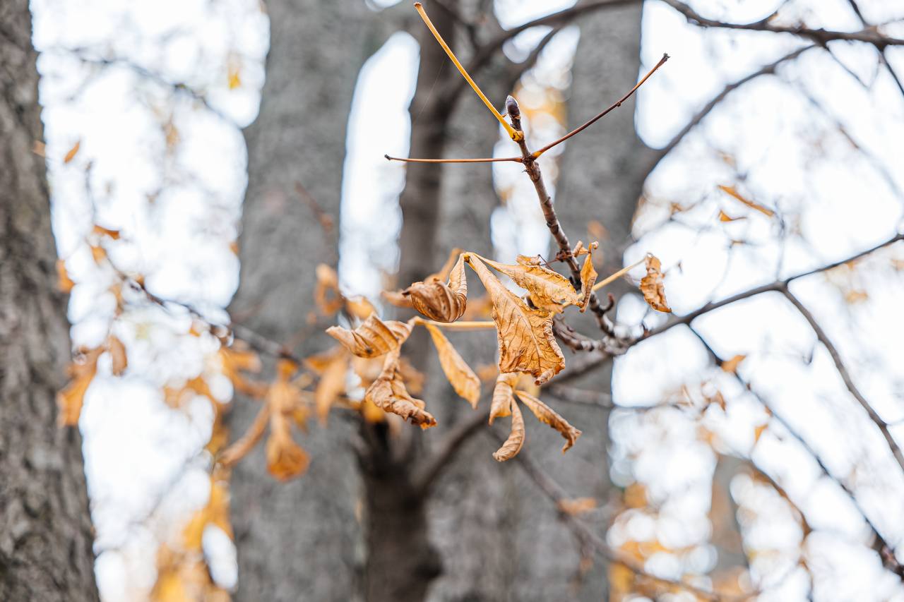 Доброе утро. Среда пришла и принесла с собой настоящее похолодание