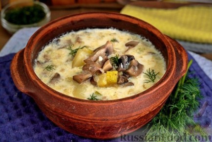 Гармония вкуса: Рецепты супов, которые согревают душу и тело