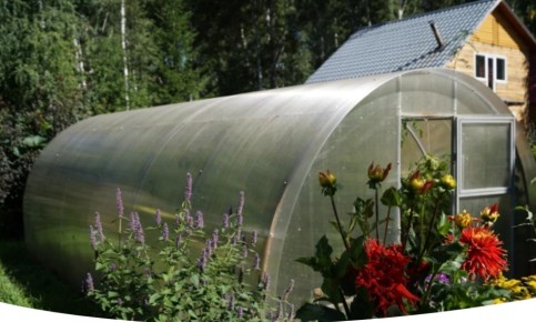 Лунный календарь садово-огородных работ с 10 по 16 июня