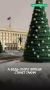 В вязанную новогоднюю сказку превратились улицы нашего города