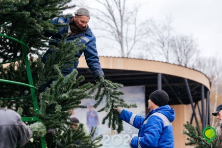 Липецкие парки уже начинают преображаться к Новому году