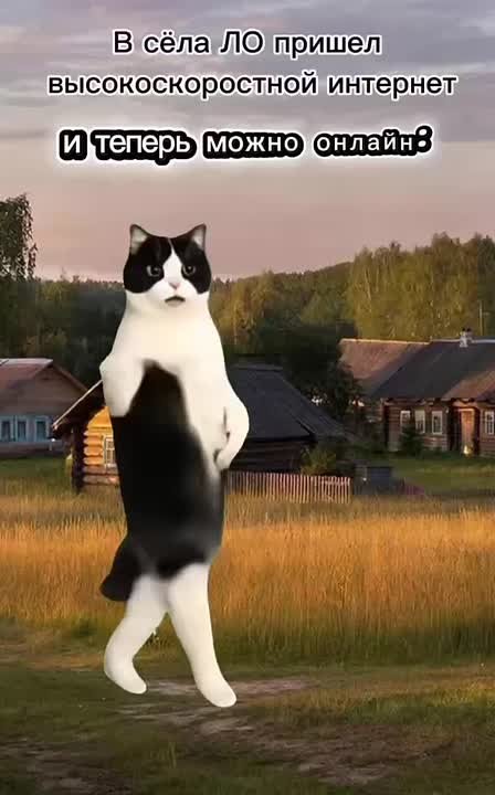 Новый базовый минимум Новые базовые станции сделали доступнее мобильный интернет в сёлах Лебедянка Добринского района и Красное Долгоруковского района