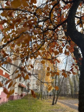 Доброе утро. Четверг встречает нас по-зимнему спокойной и холодной погодой