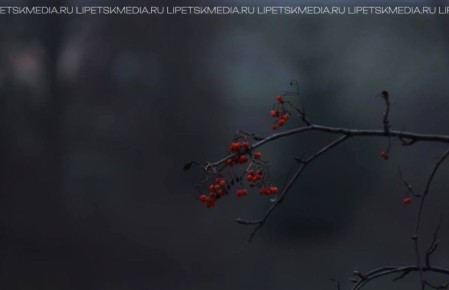 Туман окутал Липецк. Весь день город покрыт лёгкой пеленой и белой дымкой