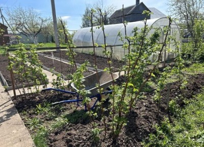 Как правильно готовить компост на зиму: полезные советы для садоводов