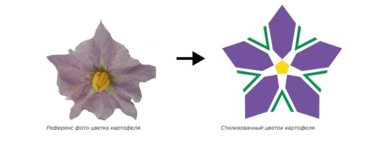 Символ картофеля становится главной туристической иконой Беларуси