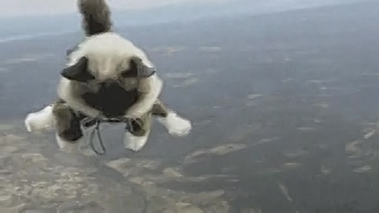 Если летаешь во сне – растёшь