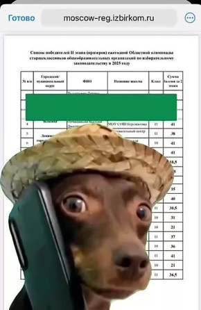 Подведены итоги II этапа Областной олимпиады по избирательному законодательству!