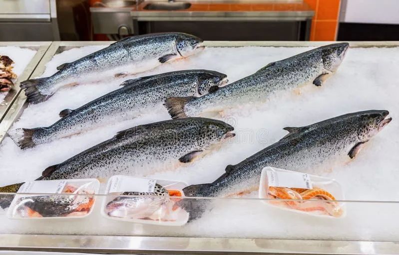 Искусственная форель: мифы и реальность о ее безопасности для здоровья