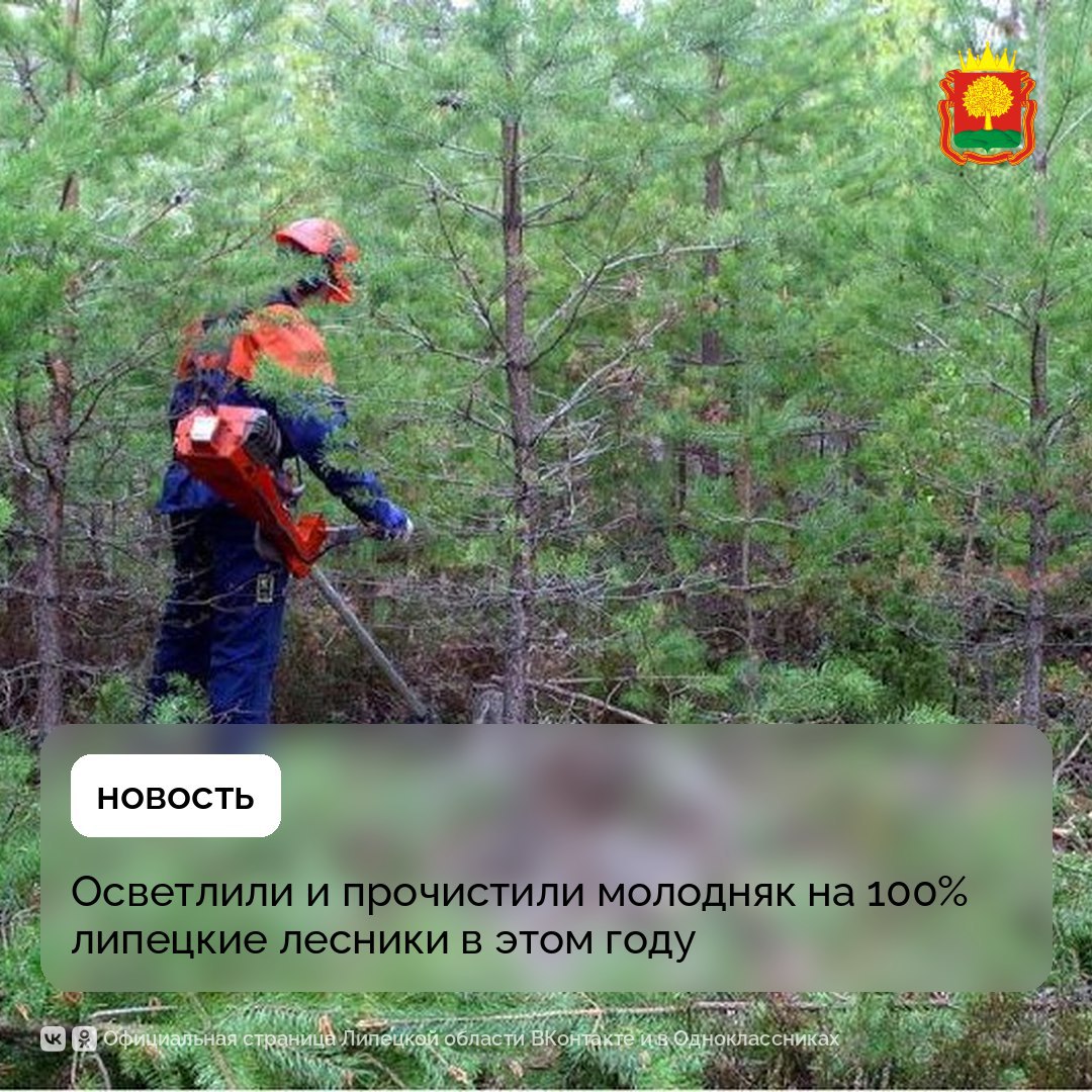 Они были не 10 из 10 и мешали здоровым и красивым деревьям