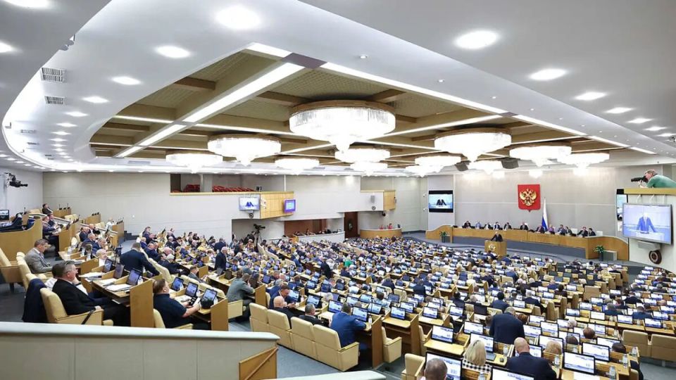 Госдума предлагает новые штрафы за нарушения на границе: что ждет россиян?