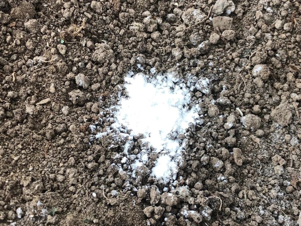 Почему осень — время заботы о почве: лучшие удобрения для подготовки к новому сезону