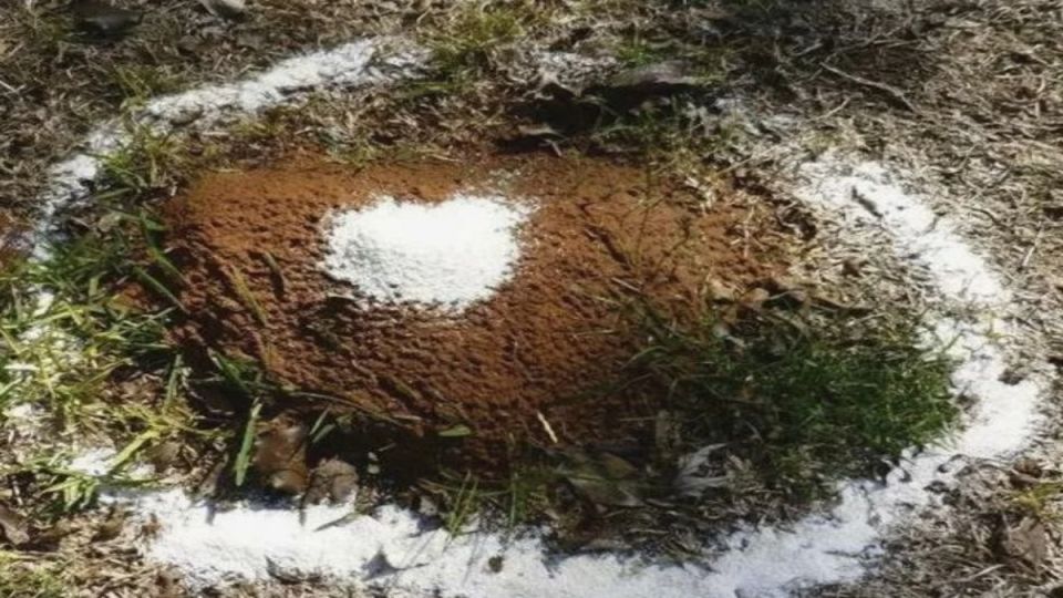 Соль у порога: мифы и реальность под ногами