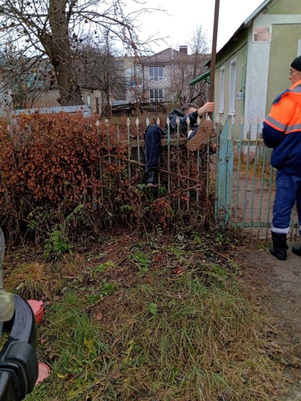 Между кольями забора застрял липчанин на улице Минина