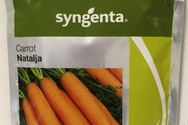 Морковь Наталья: Все секреты популярного гибрида