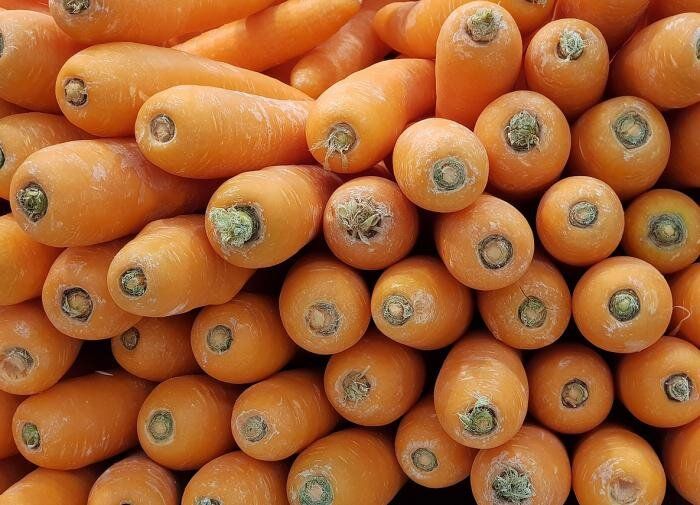 Популярные сорта моркови для вашего огорода