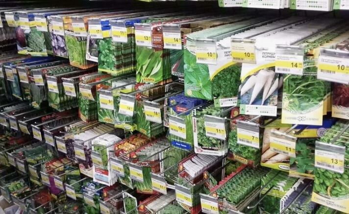 Ноябрь: идеальное время для выгодных покупок семян