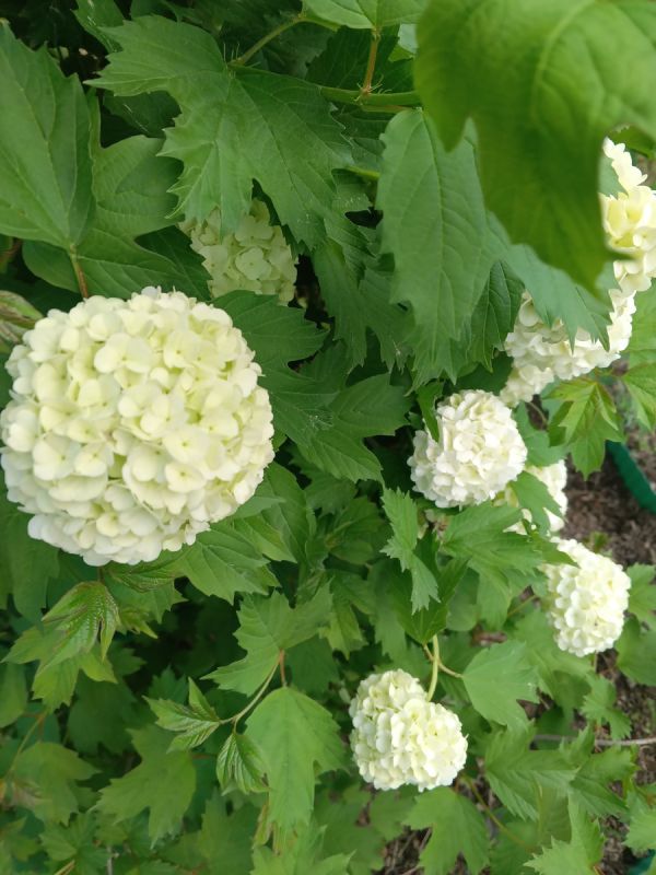 Как финансовый стиль жизни влияет на качество жизни: секреты успешного управления бюджетом