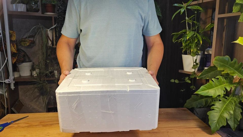 Необычные методы борьбы с паутинным клещом: от опилок до биозащиты