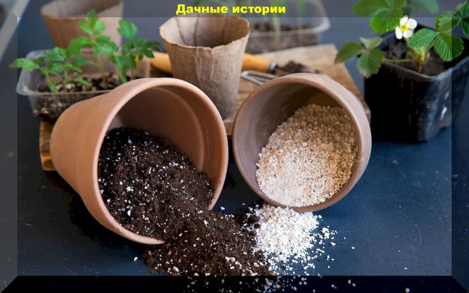 Как создать идеальный грунт для рассады: советы и рекомендации