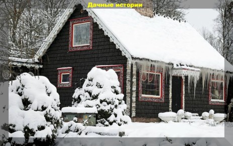 Секреты успеха для начинающих дачников: важные советы по выращиванию культур